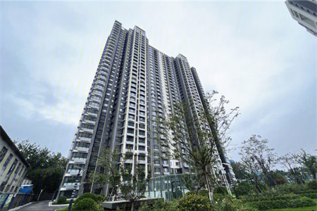 燊海森林稀缺顶跃只卖平层的价格单价6000